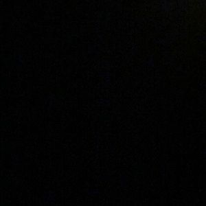 Meet your Posher, Angelica